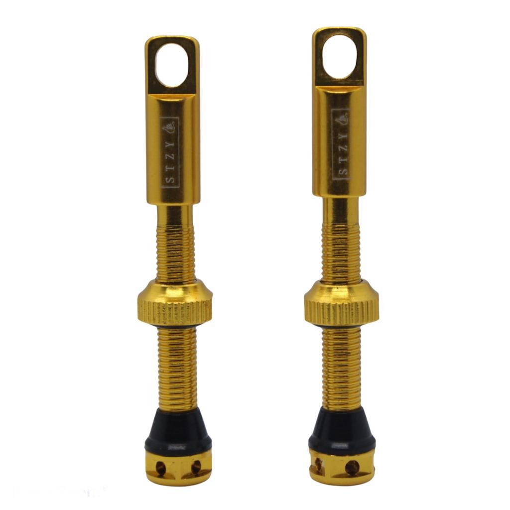 Válvula Tubular STZY 44mm Gold1