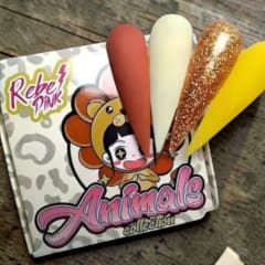 Colección de acrílicos Animals Wapizima 4 piezas