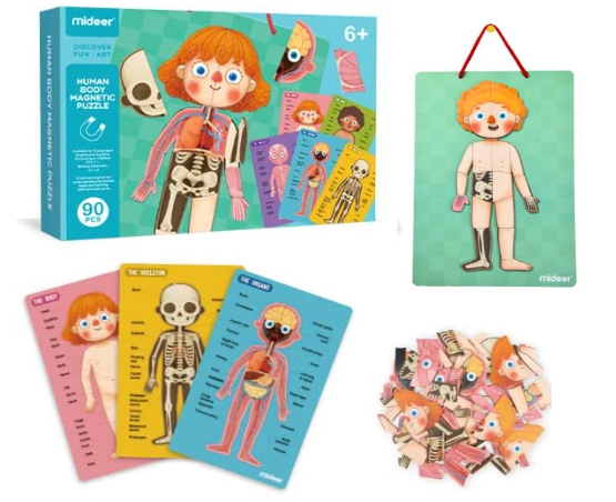 PUZZLE MAGNETICO DEL CUERPO HUMANO