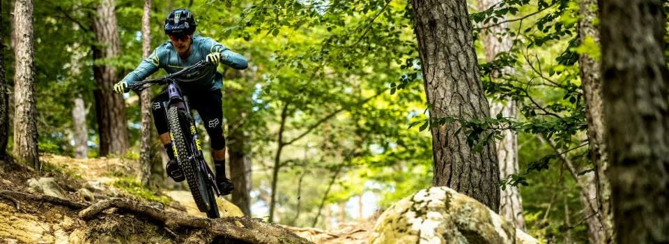 santa cruz bullit collection banner v16056226510941428