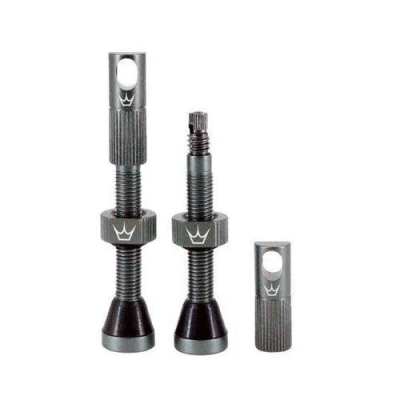 VALVULA TUBULAR PEATYS  60 MM