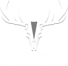 Nueva Armeria Tarapaca - GLOCK STORE