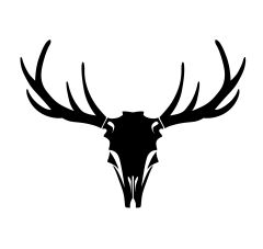 Logo de Nueva Armeria Tarapaca