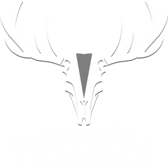 Nueva Armeria Tarapaca - GLOCK STORE