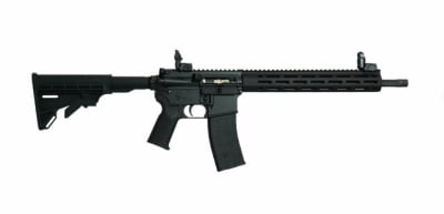 TIPPMANN ARMS M4-22 Elite-L con Fluted Barrel