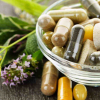PROBIOTICOS