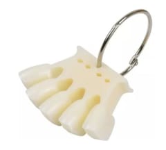 Muestrario Argolla Corona Blanco