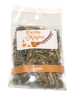 Llantén Seco