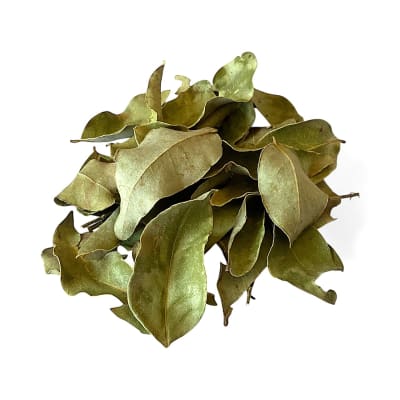 Peumo
