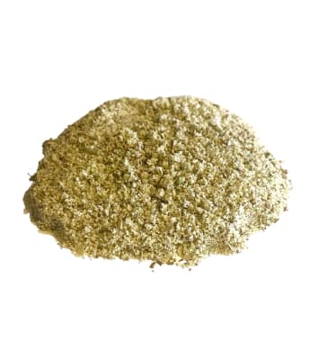 Sal Verde