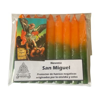 Novena San Miguel