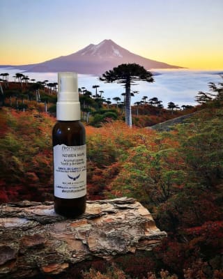 Newen Mapu Home Spray 60 ml