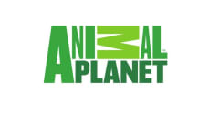 Animal Planet