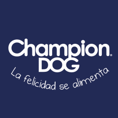 Champion dog