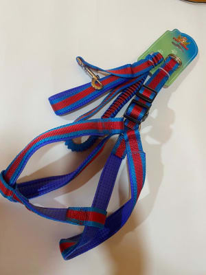 ARNES MAS CORREA 2,5X1,1 CELESTE/ROJO1