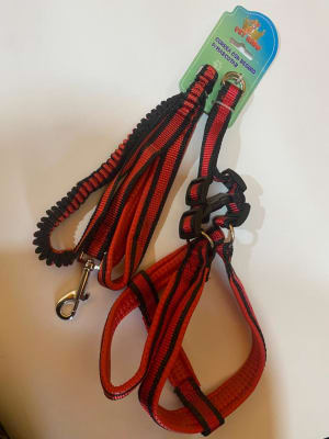 ARNES MAS CORREA 2X1,1 CELESTE/ROJO1