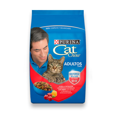 CAT CHOW CARNE GRANEL (1 KILO)