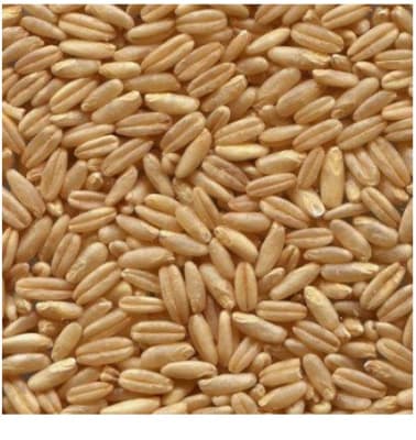 AVENA PELADA GRANEL (1 KILO)