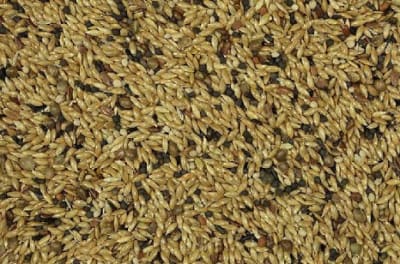 MEZCLA CANARIO (1 KILO)