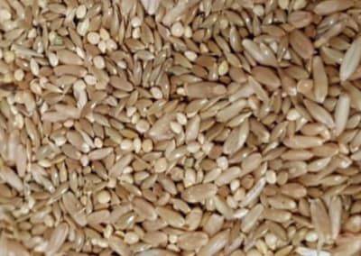 MEZCLA CATA GRANEL (1 KILO)1