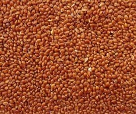 MIJO ROJO GRANEL (1 KILO)1