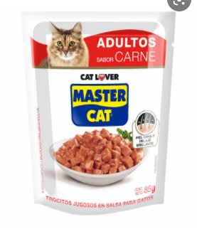 SOBRE MASTER CAT ADULTO CARNE 85G1