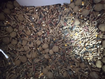 MEZCLA HAMSTER GRANEL