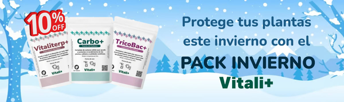 Pack Invierno Vitali+