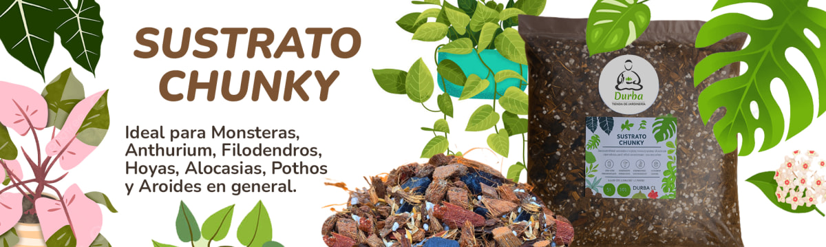 bannertiendachunky2087