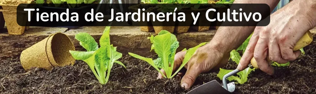 bannertiendanewslatter5107.webp