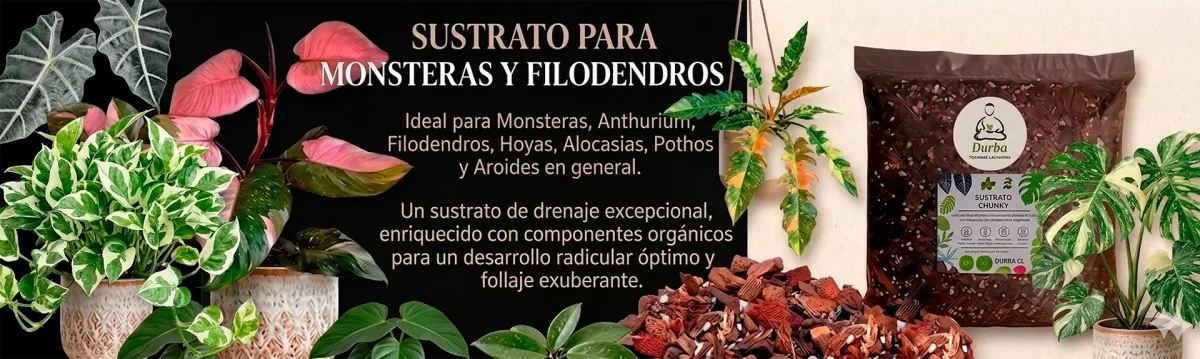 Sabes mas sobre el sustrato Chunky