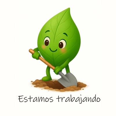 Cissus
