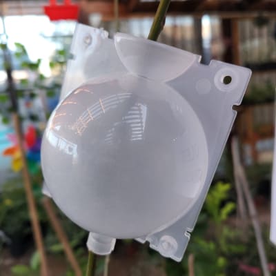 Esfera para enraizar por acodo aéreo