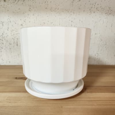 Maceta Cerámica Blanca Diseño Líneas Verticales