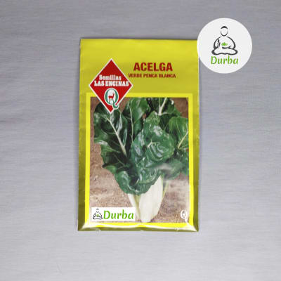 Acelga Verde Penca Blanca