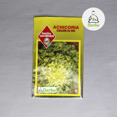 Achicoria Corazón de Oro