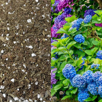 Acid Mix (Tierra Acida)