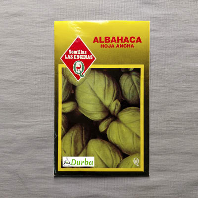 Albahaca de hoja ancha