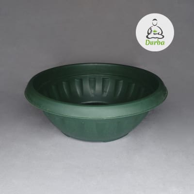 Paila Terrario N°18