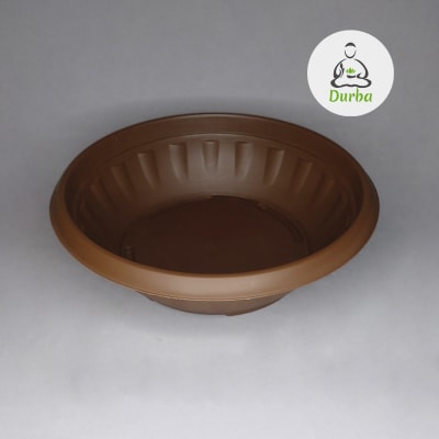 Paila Terrario N°25