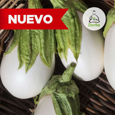 Berenjena Blanca