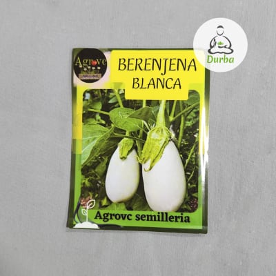 Berenjena Blanca