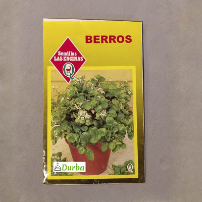 Berros