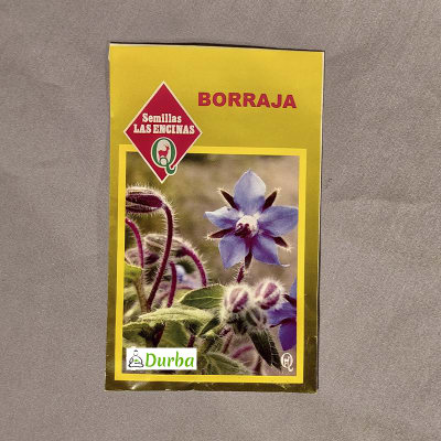 Borraja