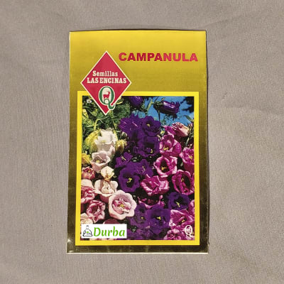 Campanula (Farolito)