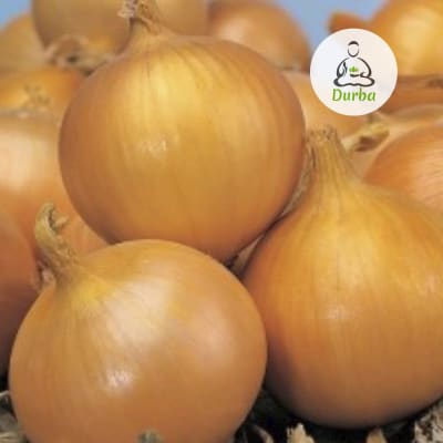 Cebolla Texas Granex 502