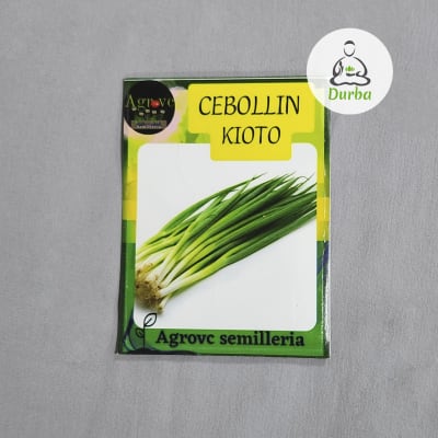 Cebollin Kioto