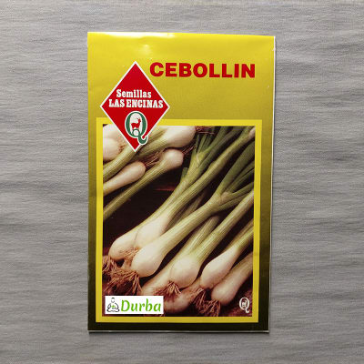 Cebollin