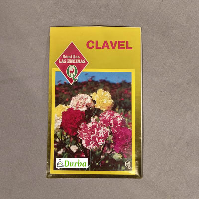 Clavel Chabaud - Nelke (Doble variado)