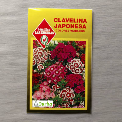 Clavelina japonesa (colores variados)